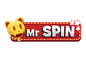 mr spin transparent logo